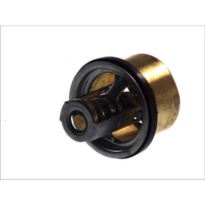 Thermostaat, koelvloeistof THERMOTEC D2RV002TT