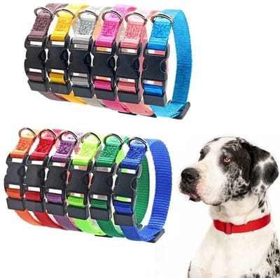 Allecto - Hondenhalsband - Puppyidentificatiehalsband - Verstelbaar en veilig - Nylon - Geschikt voor kleine honden en katten - 12 stuks