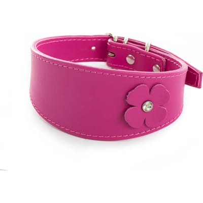 Hondenhalsband Sellerie Canine Vendéenne Lev Tref