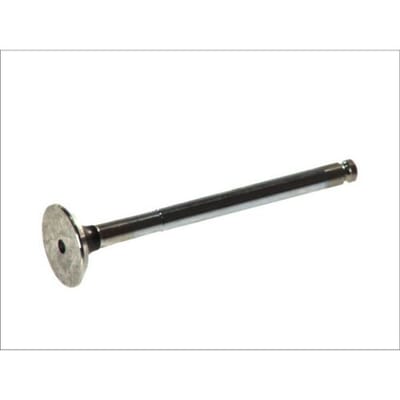 Uitlaatklep FRECCIA R3638/RCR