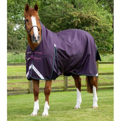 Buitendeken voor halfnaakte paarden Premier Equine Buster Hardy 100 g