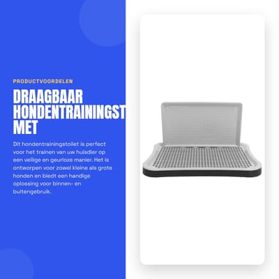 Dailygoods- Hondentrainingstoilet Draagbaar - Afneembaar Puppynettrainingspotje - Kunststof - 51 x 38 x 27 cm - Veilig en Geurloos - Inclusief Pee-wandpaneel - Puppytraining