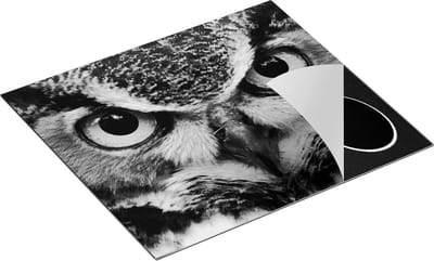Chefcare Inductie Beschermer Uil Kop met Gouden Ogen - Zwart Wit - 60x50 cm - Afdekplaat Inductie - Kookplaat Beschermer - Inductie Mat