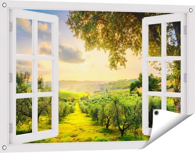 Gards Tuinposter Doorkijk Olijvenbomen - Olijvengaard - 90x60 cm - Tuindoek - Tuindecoratie - Wanddecoratie buiten - Tuinschilderij
