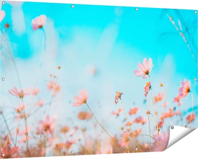 Gards Tuinposter Paarse Kosmos Bloemen - 150x100 cm - Tuindoek - Tuindecoratie - Wanddecoratie buiten - Tuinschilderij