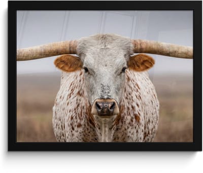 Poster in lijst - Fotolijst 40x30 cm - Posters - Longhorn - Grasveld - Dier - Posterlijst zwart - Decoratie - Wanddecoratie woonkamer - Muurdecoratie slaapkamer