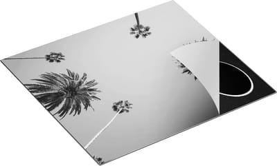 Chefcare Inductie Beschermer Palmbomen met Bladeren in de Lucht - Zwart Wit - 60x50 cm - Afdekplaat Inductie - Kookplaat Beschermer - Inductie Mat