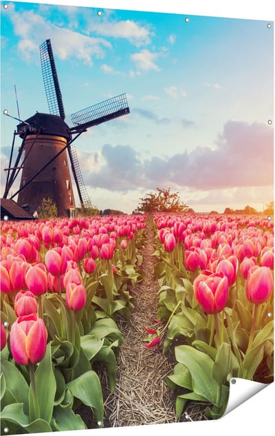 Gards Tuinposter Roze Tulpen Bloemenveld - met Windmolen - 120x160 cm - Tuindoek - Tuindecoratie - Wanddecoratie buiten - Tuinschilderij
