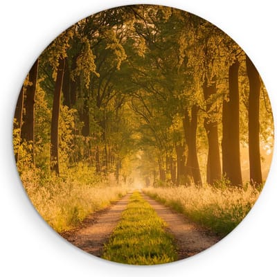Saammp Muurcirkel Hout - Weg door het bos - Nederland - Landschap - Natuur - Ø 90 - Wandcirkel - Wanddecoratie Cirkel - Muurdecoratie Woonkamer - Slaapkamer decoratie - Rond Schilderij