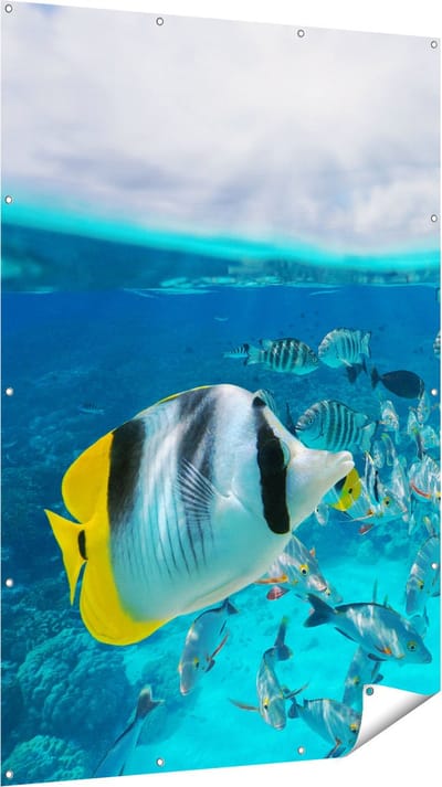 Gards Tuinposter Zwerm Gele Vissen in het Water - 120x180 cm - Tuindoek - Tuindecoratie - Wanddecoratie buiten - Tuinschilderij