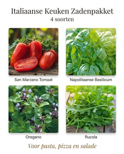 Italiaanse Keuken Zadenpakket – 4 Soorten – San Marzano Tomaat, Napolitaanse Basilicum, Oregano & Rucola – Voor Pasta, Pizza en Salade