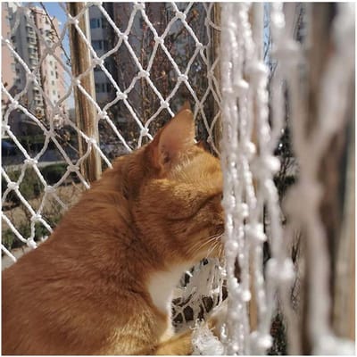 Veiligheidsnet Katten - Dierenhek - Balkon Beveiligen - Sterk Nylon - 1.5x6m - Transparant