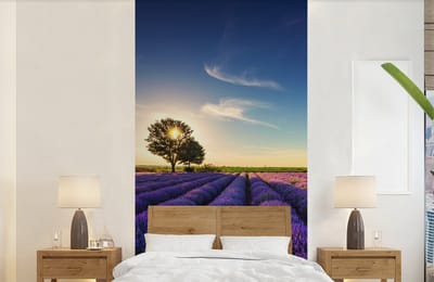 Behang - Fotobehang Lavendel - Zon - Boom - Bloemen - Paars - Breedte 120 cm x hoogte 240 cm