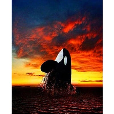 Bricolage diamant broderie baleine plein diamant peinture paysage point de croix 20X30CM red
