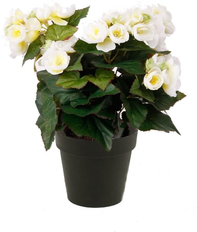 Emerald - Kunstplant Begonia in pot 30cm wit - Kunstplant voor binnen