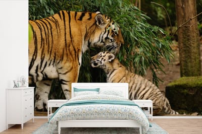 Behang - Fotobehang Dieren - Tijgers - Bos - Breedte 390 cm x hoogte 260 cm