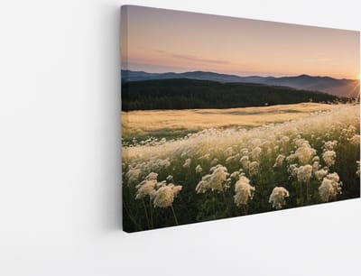 Saammp Canvas Schilderij - Landschap - Wit - Bloemenveld met zonsondergang en bergen - Natuur - 45x30 - Foto op canvas - Wanddecoratie - Muurdecoratie Woonkamer - Slaapkamer decoratie - Canvas Print