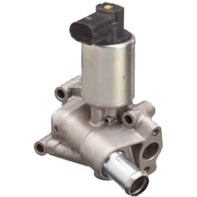 EGR-klep MAGNETI MARELLI 571822112066
