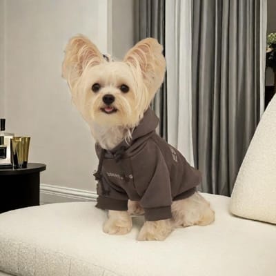 T-shirt pour chien Vêtements d'été pour chien Vêtements décontractés pour petits grands chiens Chats Chihuahua Costumes de carlin Chemises Yorkshire Costume de chien S