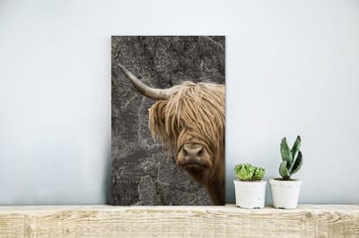 Aluminium schilderij 20x30 cm - Wanddecoratie metaal - Schotse hooglander - Koeien - Wereldkaart - Metalen muurdecoratie woonkamer - Decoratie industrieel - Foto op dibond - Industriële accessoires slaapkamer