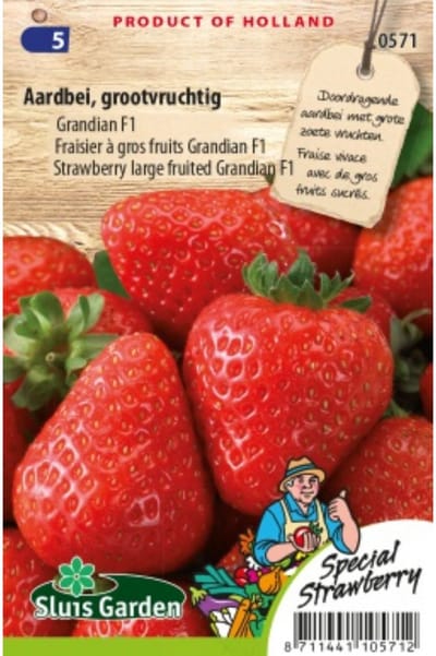 Sluis Garden - Aardbei Grandian F1