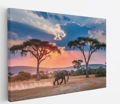 Saammp Canvas Schilderij - olifant in de serangeti - Afrika - Dieren - 45x30 - Foto op canvas - Wanddecoratie - muurdecoratie Woonkamer - Slaapkamer decoratie - Canvas Print