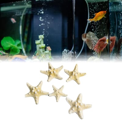 Jhubersproducts - Zeester Decor - Decoratie voor Aquarium - Zeebriesgevoel - 5 stuks - Ambachtelijke Decoratie - Perfect voor Kerst en Strand Thema