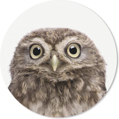 Muismat rond 20x20 cm - Mousepad Dieren - Uil - Wit - Ronde muismatten