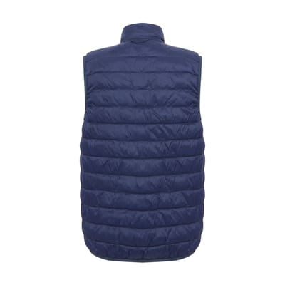 Regatta Heren hillpack ii gilet