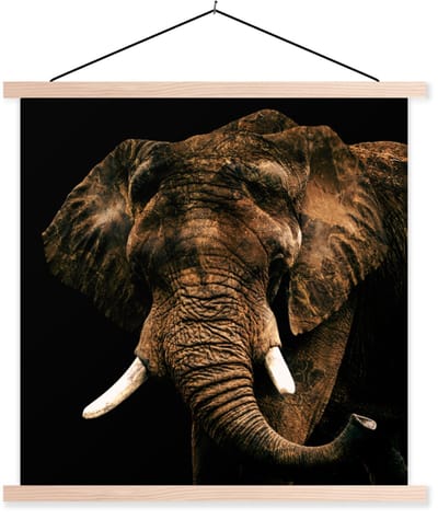 Posterhanger incl. Poster 60x60 cm - Schoolplaat - Olifant - Bruin - Tanden - Textielposter - Blanke latten