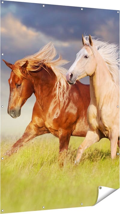 Gards Tuinposter Bruin en Wit Paard in de Wei - 120x180 cm - Tuindoek - Tuindecoratie - Wanddecoratie buiten - Tuinschilderij