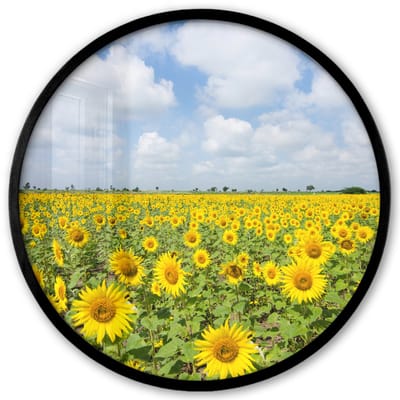 Poster in lijst Rond - Fotolijst 40x40 cm - Posters - Zonnebloemen - Bloemen - Wolken - Natuur - Geel - Landschap - Ronde posterlijst zwart - Decoratie - Wanddecoratie woonkamer - Muurdecoratie slaapkamer