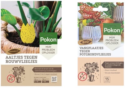 Nematoden Aaltjes en Vangplaatjes tegen Rouwvliegjes en Potgrondvliegjes voor Kamerplanten