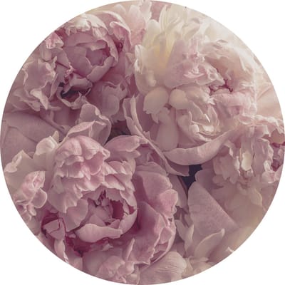 Tizato - Muurcirkel Bloemen Pioenrozen – Zelfklevende wandcirkel Muursticker – Ø 91 cm