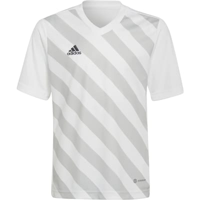 adidas - Entrada 22 GFX Jersey Youth - Gestreepte Jersey-128