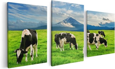 Artaza Canvas Schilderij Drieluik Koeien In De Wei - 120x60 - Foto Op Canvas - Canvas Print