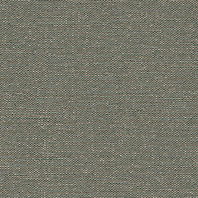 Dutch Wallcoverings - Tapestry Plain Black / Dark green - TP422406