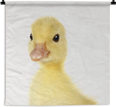 Wandkleed Animalprintshop - Eendje - Portret dierenprint kinderkamer Wandkleed katoen 180x180 cm - Wandtapijt met foto
