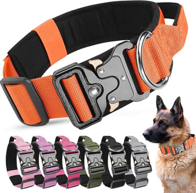 Robuuste Hondenhalsband met Handvat en Zachte Padding - Verstelbare Comforthalsband voor Training van Kleine, Middelgrote en Grote Honden (Oranje, L)
