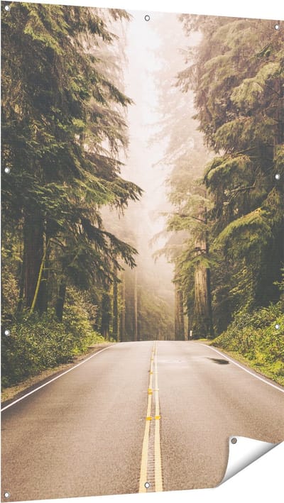 Gards Tuinposter Highway in Californië Omring met Bos - 100x150 cm - Tuindoek - Tuindecoratie - Wanddecoratie buiten - Tuinschilderij