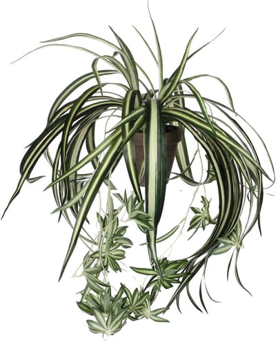 Mica Decorations Kunstplant - graslelie - groen - in pot - 45 cm - hangplanten
