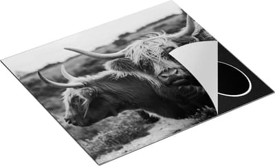 Chefcare Inductie Beschermer Twee Schotse Hooglander Koeien - Zwart Wit - 60x50 cm - Afdekplaat Inductie - Kookplaat Beschermer - Inductie Mat