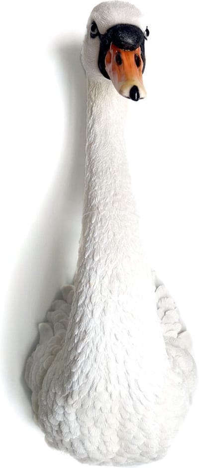 Wanddecorati e- zwaan hoofd - resin - dierenhoofd