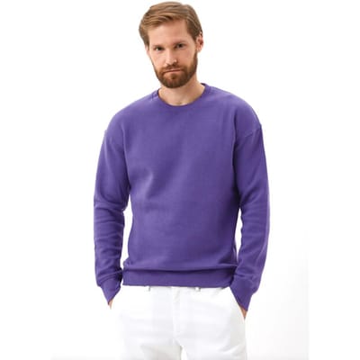 JACK & JONES Star basic sweat crew neck regular fit - heren sweatshirt katoenmengsel met O-hals - paars