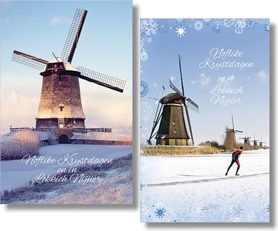 MGPcards - 2 doosjes à 10 Luxe dubbele wenskaarten - Friese tekst - Kerst/Nieuwjaar - Foliebewerking - Witte envelop - 10.5 x 16 cm - 2 Motieven per doosje