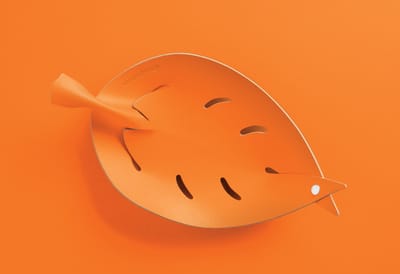 Vacavaliente - Amigos Organiser Blad - Gerecycled Leer - Oranje