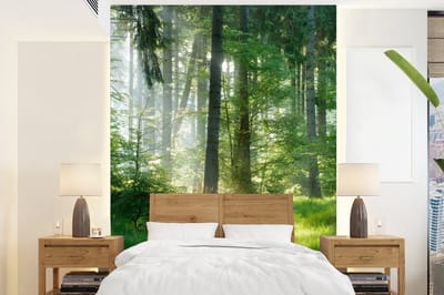 Behang - Fotobehang Natuur - Bomen - Bos - Groen - Zon - Gras - Planten - Breedte 205 cm x hoogte 280 cm