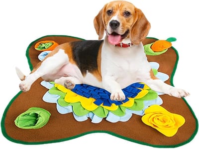 Honden Snuffelmat - Voer Dispenser - Mentale Stimulatie - Interactief Speelgoed - 40 x 40 cm - Blauw