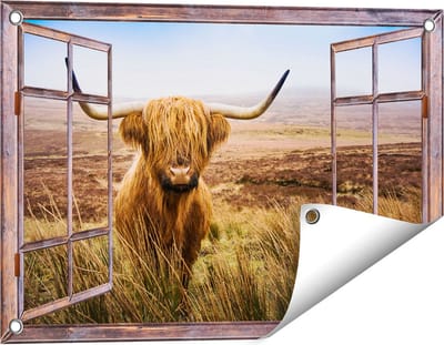 Gards Tuinposter Doorkijk Schotse Hooglander Koe in het Veld - 60x40 cm - Tuindoek - Tuindecoratie - Wanddecoratie buiten - Tuinschilderij