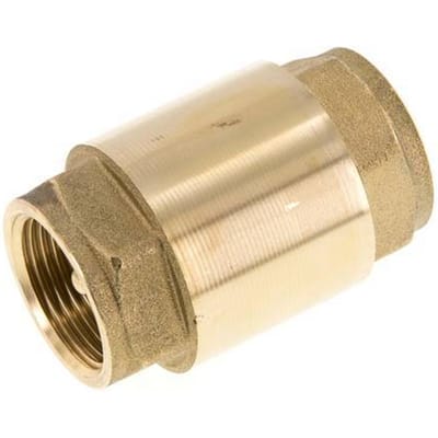G 1'' Messing Terugslagklep Voor Vacuum -0.95..25 bar (-13.7..362.5 psi)